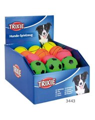 Sportpallid Trixie hind ja info | Mänguasjad koertele | kaup24.ee
