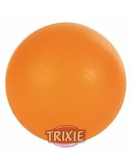 Raske pall Trixie, 5 cm цена и информация | Игрушки для собак | kaup24.ee