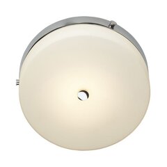 Потолочный светильник для ванной комнаты Elstead Lighting Tamar TAMAR-F-M-PC цена и информация | Потолочные светильники | kaup24.ee