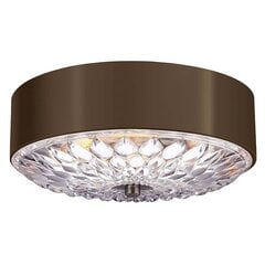 Потолочный светильник Elstead Lighting Botanic FE-BOTANIC-F-M цена и информация | Потолочные светильники | kaup24.ee