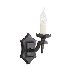 Настенный светильник Elstead Lighting Rectory RY1B-BLACK цена и информация | Настенные светильники | kaup24.ee