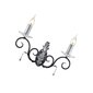 Seinavalgusti Elstead Lighting Amarilli AML2-BLK-SILVER hind ja info | Seinavalgustid | kaup24.ee