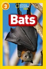 Bats: Level 3 цена и информация | Книги для подростков и молодежи | kaup24.ee