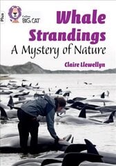 Whale Strandings: A Mystery of Nature: Band 10plus/White Plus цена и информация | Книги для подростков и молодежи | kaup24.ee