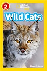 Wild Cats: Level 2 цена и информация | Книги для подростков и молодежи | kaup24.ee
