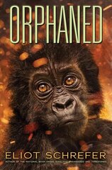 Orphaned (Ape Quartet #4): Volume 4 цена и информация | Книги для подростков и молодежи | kaup24.ee