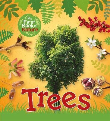 My First Book of Nature: Trees hind ja info | Noortekirjandus | kaup24.ee