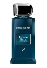 Парфюмированная вода Daniel Hechter Collection Couture Indigo Blue EDP, 100 мл цена и информация | Мужские духи | kaup24.ee