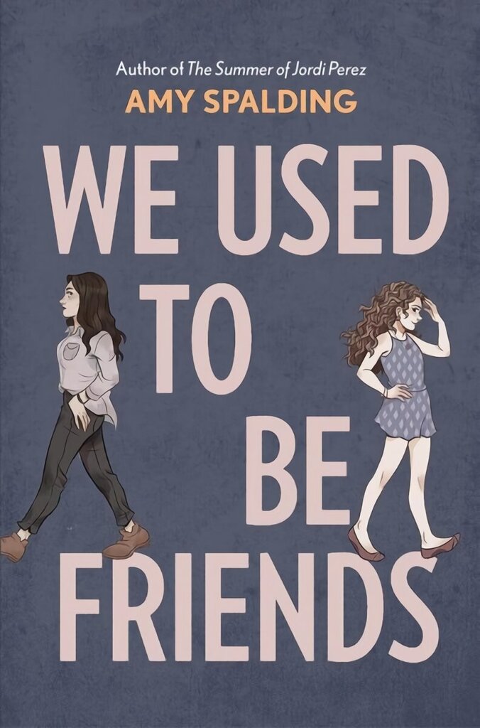 We Used to Be Friends цена и информация | Noortekirjandus | kaup24.ee