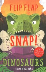 Flip Flap Snap: Dinosaurs цена и информация | Книги для подростков и молодежи | kaup24.ee