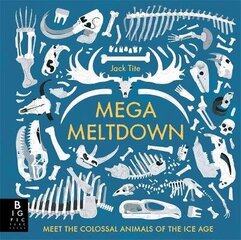 Mega Meltdown цена и информация | Книги для подростков и молодежи | kaup24.ee