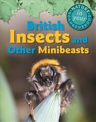 Nature in Your Neighbourhood: British Insects and other Minibeasts hind ja info | Noortekirjandus | kaup24.ee