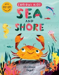 Curious Kids: Sea and Shore цена и информация | Книги для подростков и молодежи | kaup24.ee