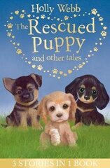 Rescued Puppy and Other Tales: The Rescued Puppy, The Lost Puppy, The Secret Puppy цена и информация | Книги для подростков и молодежи | kaup24.ee
