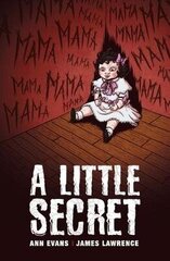 Little Secret hind ja info | Noortekirjandus | kaup24.ee