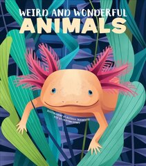 Weird and Wonderful Animals цена и информация | Книги для подростков и молодежи | kaup24.ee