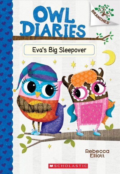 Eva's Big Sleepover: A Branches Book (Owl Diaries #9): Volume 9 Library ed. цена и информация | Noortekirjandus | kaup24.ee