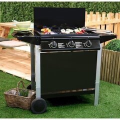 Gaasigrill Grill Garden 10,5 KW 62 x 42 cm цена и информация | Грили | kaup24.ee