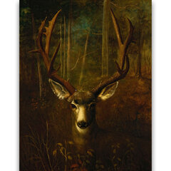 Reproduktsioon Stag Resting (Richard La Barre Goodwin), 60x50 cm hind ja info | Seinapildid | kaup24.ee