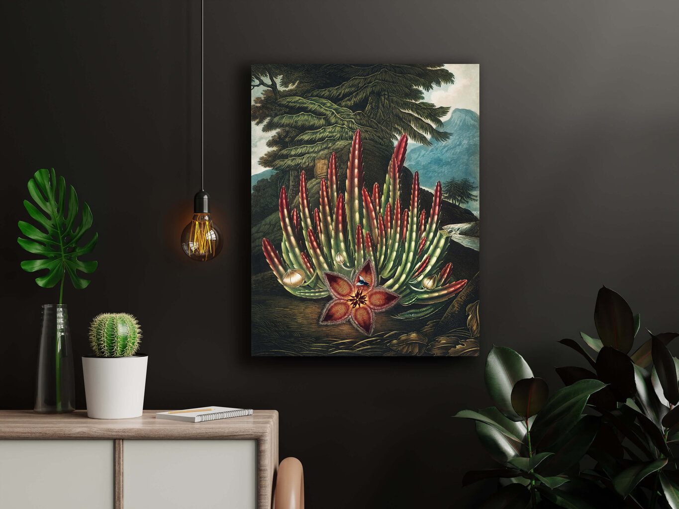 Reproduktsioon The Maggot–Bearing Stapelia (Robert John Thornton (1808)), 100x70 cm hind ja info | Seinapildid | kaup24.ee