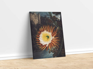 Reproduktsioon "Night Cereus" (Robert John Thornton, 1808), 100x70 cm hind ja info | Seinapildid | kaup24.ee