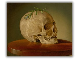 Reproduktsioon Still Life with a Skull and a Forget-Me-Not (Vojtech Klimkovich), 100x80 cm hind ja info | Seinapildid | kaup24.ee