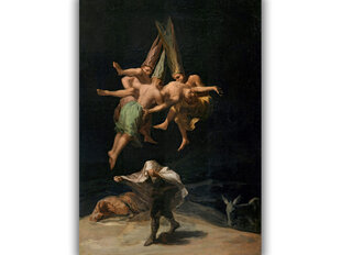 Reproduktsioon Nõidade lend (Francisco Goya), 60x80 cm hind ja info | Seinapildid | kaup24.ee