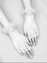 Перчатки женские, белые цена и информация | Женские перчатки | kaup24.ee