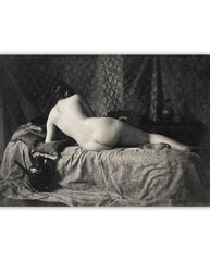 Ретро эротическая картина Обнаженная женщина со спины (1870 г.), 40х35 см цена и информация | Сувениры, подарки для взрослых | kaup24.ee
