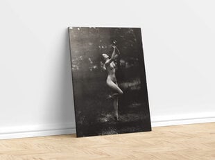 Retro erootiline Reproduktsioon Alasti tantsija koos Avlosega (Arnold Gente), 60x50 cm hind ja info | Erootilised kingitused ja suveniirid | kaup24.ee