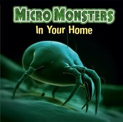 Micro Monsters: In the Home Illustrated edition цена и информация | Книги для подростков и молодежи | kaup24.ee