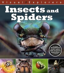 Visual Explorers: Insects and Spiders цена и информация | Книги для подростков и молодежи | kaup24.ee