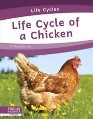 Life Cycles: Life Cycle of a Chicken hind ja info | Noortekirjandus | kaup24.ee