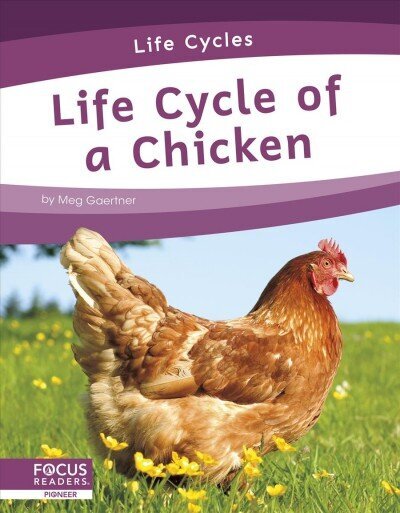 Life Cycles: Life Cycle of a Chicken цена и информация | Noortekirjandus | kaup24.ee