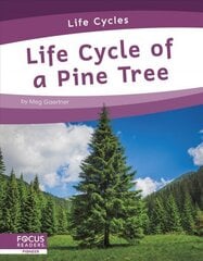 Life Cycles: Life Cycle of a Pine Tree hind ja info | Noortekirjandus | kaup24.ee