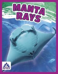 Giants of the Sea: Manta Rays цена и информация | Книги для подростков и молодежи | kaup24.ee