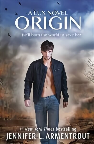 Origin (Lux - Book Four) цена и информация | Fantaasia, müstika | kaup24.ee
