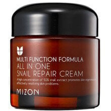 Восстанавливающий крем Mizon All In One Snail Repair Cream 92 %, 75 мл цена и информация | Кремы для лица | kaup24.ee