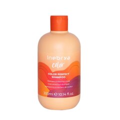 Inebrya Ice Cream Pro-Color (Color Perfect Shampoo), 300ml hind ja info | Šampoonid | kaup24.ee