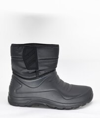 Зимние сапоги  для мужчин, RL 16832201.46 цена и информация | Мужские ботинки | kaup24.ee