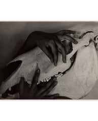 Reproduktsioon "Käed ja hobuse kolju" (1931) (Alfred Stieglitz), 100x80 cm hind ja info | Seinapildid | kaup24.ee