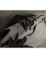 Reproduktsioon "Käed ja hobuse kolju" (1931) (Alfred Stieglitz), 80x65 cm hind ja info | Seinapildid | kaup24.ee