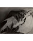 Reproduktsioon "Käed ja hobuse kolju" (1931) (Alfred Stieglitz), 40x35 cm hind ja info | Seinapildid | kaup24.ee