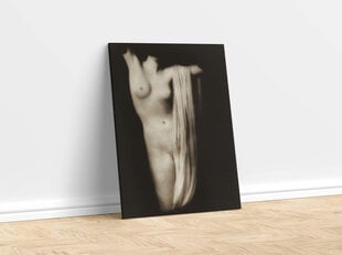 Reproduktsioon Modern torso (1918) (Arnold Gente), 100x70 cm hind ja info | Erootilised kingitused ja suveniirid | kaup24.ee