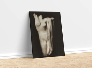 Reproduktsioon Modern torso (1918) (Arnold Gente), 30x40 cm hind ja info | Erootilised kingitused ja suveniirid | kaup24.ee