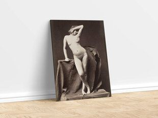 Reproduktsioon Noor alasti naine (1860), 100x70 cm hind ja info | Erootilised kingitused ja suveniirid | kaup24.ee