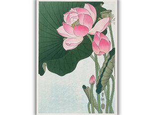 Reproduktsioon Õitsevad lootose lilled (Ohara Koson), 60x80 cm hind ja info | Seinapildid | kaup24.ee