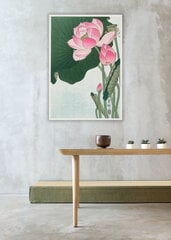 Репродукция Цветущие цветы лотоса (Охара Косон), 30x40 см цена и информация | Картины, живопись | kaup24.ee