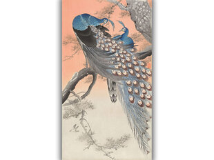 Reproduktsioon Kaks paabulindu puuoksal (Ohara Koson), 80x50 cm hind ja info | Seinapildid | kaup24.ee