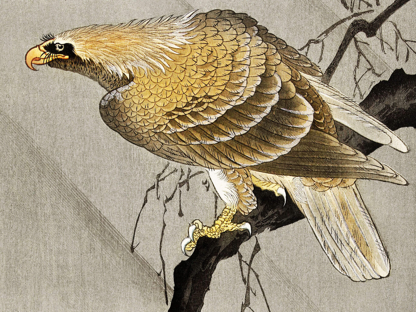 Reproduktsioon Kotkas oksal (Ohara Koson), 100x60 cm hind ja info | Seinapildid | kaup24.ee